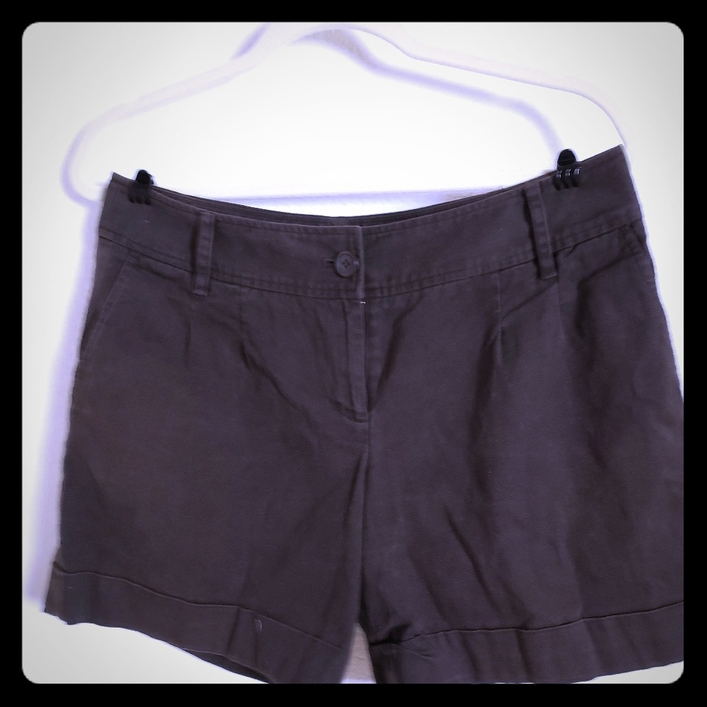 Loft Shorts